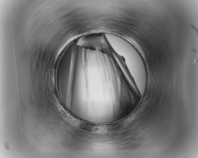 X0000101661000200807311431