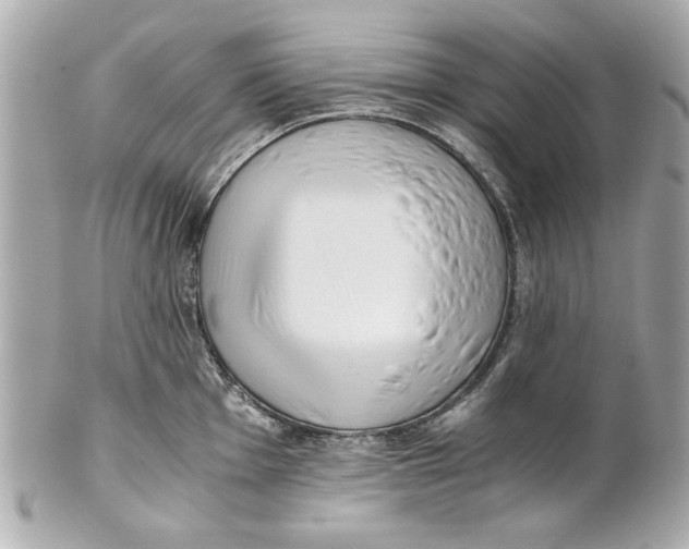 X0000101661001200807311431