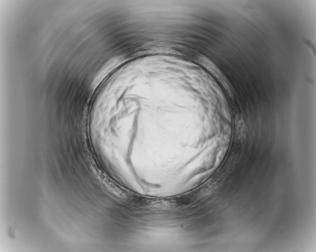 X0000101661002200807311431