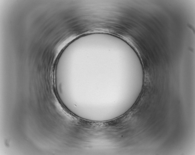 X0000101661003200807311431