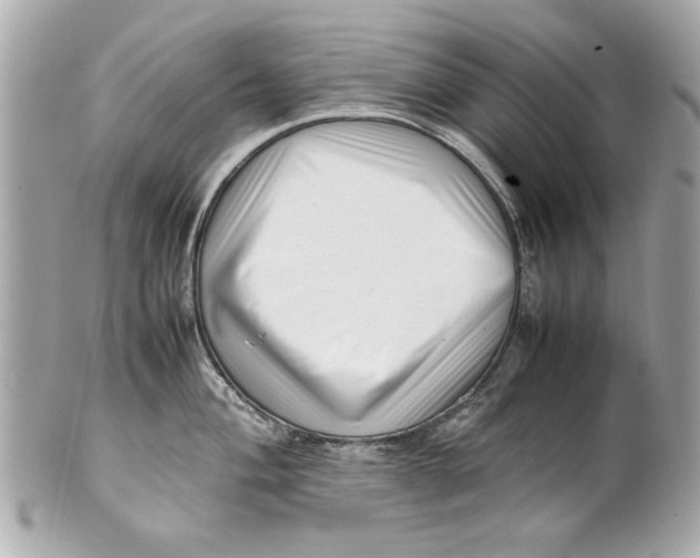 X0000101661004200807311431