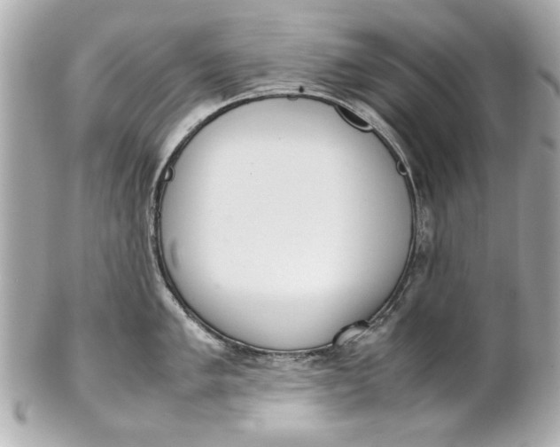 X0000101661005200807311431