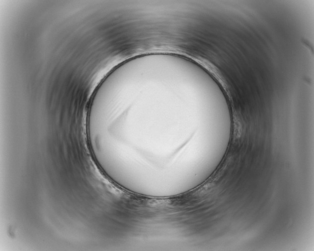 X0000101661006200807311431