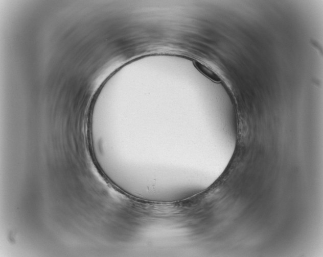 X0000101661007200807311431