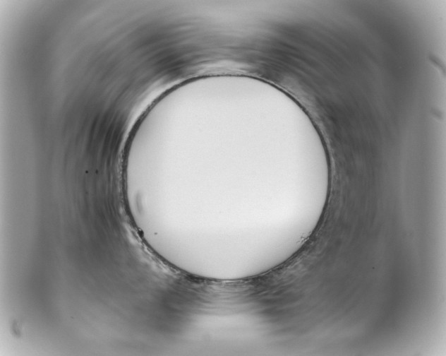 X0000101661008200807311431