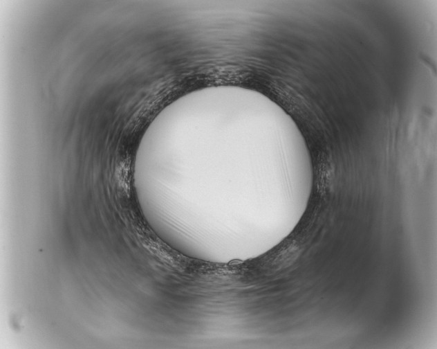 X0000101661010200807311430