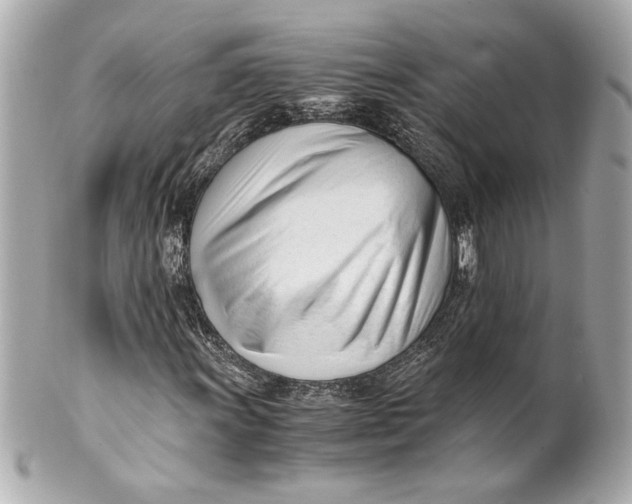 X0000101661011200807311430