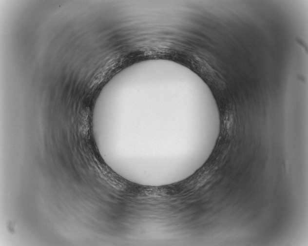 X0000101661012200807311430