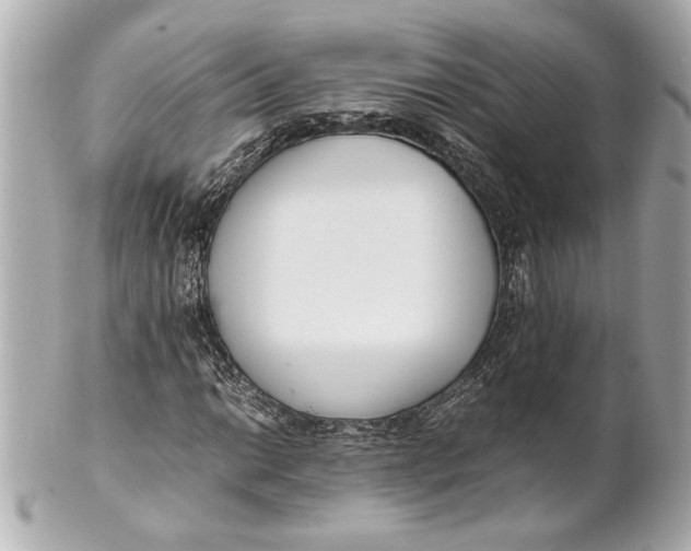 X0000101661014200807311430