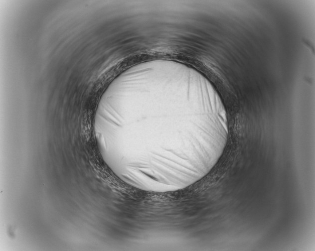 X0000101661015200807311430