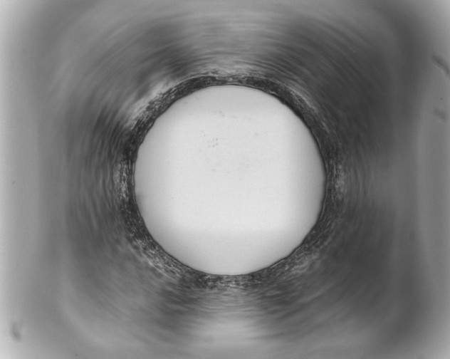 X0000101661016200807311430