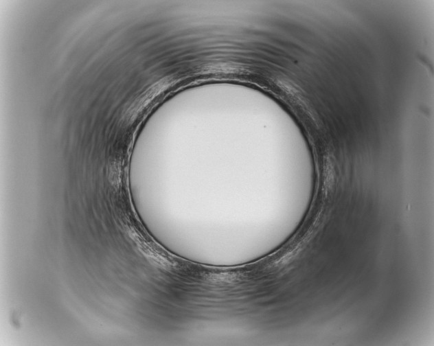 X0000101661017200807311430