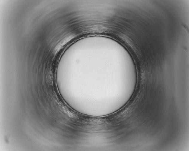 X0000101661018200807311430