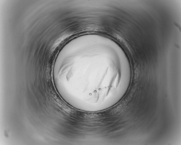 X0000101661019200807311430