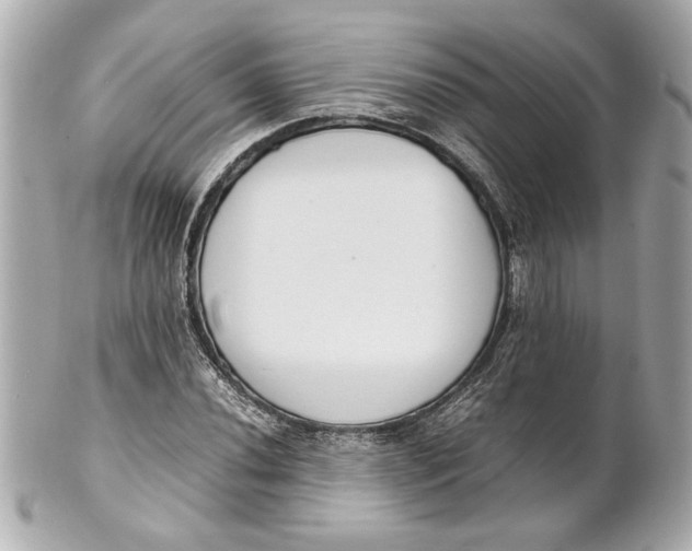 X0000101661020200807311430