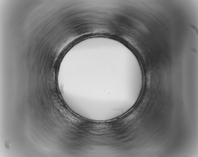 X0000101661021200807311430