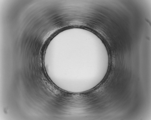 X0000101661022200807311430