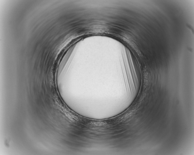 X0000101661023200807311430