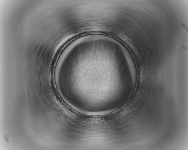 X0000101661024200807311430