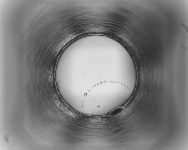 X0000101661025200807311430