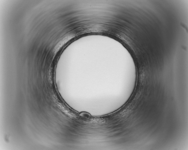 X0000101661026200807311430