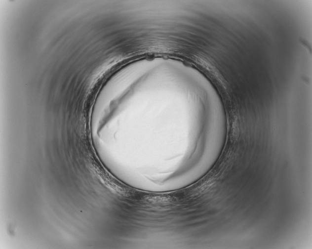 X0000101661027200807311430