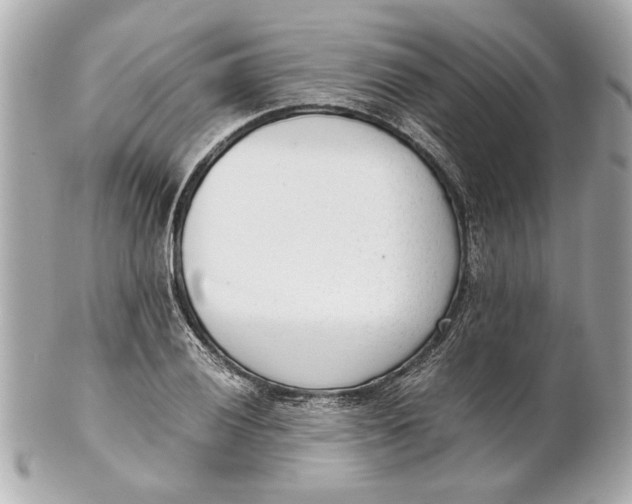 X0000101661028200807311430