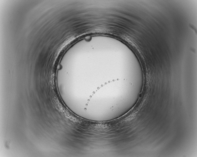 X0000101661029200807311430