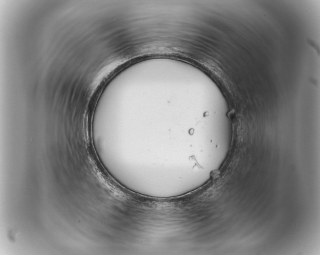 X0000101661030200807311430