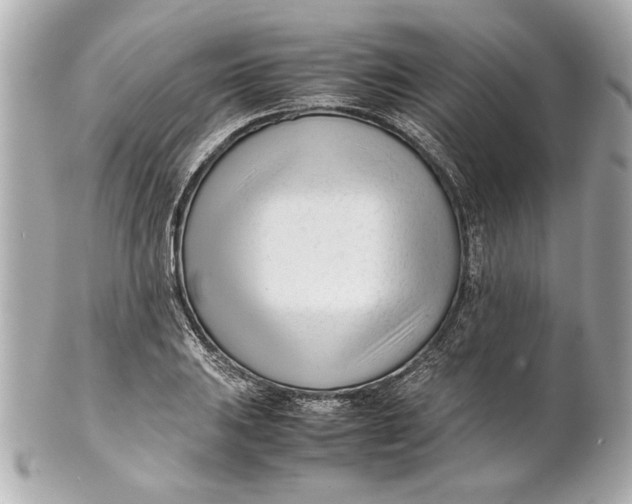 X0000101661031200807311430