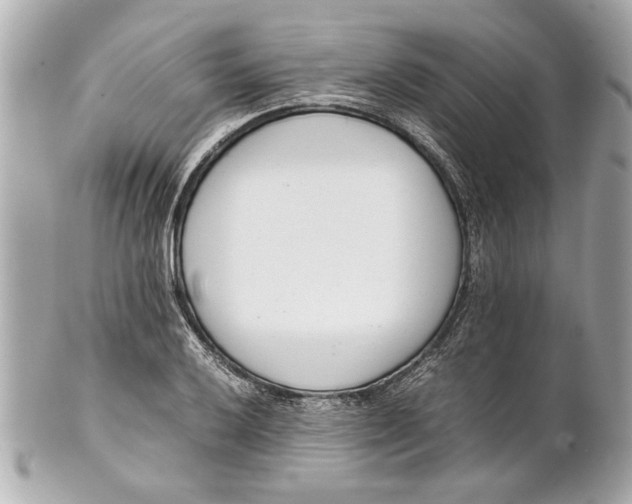 X0000101661032200807311430