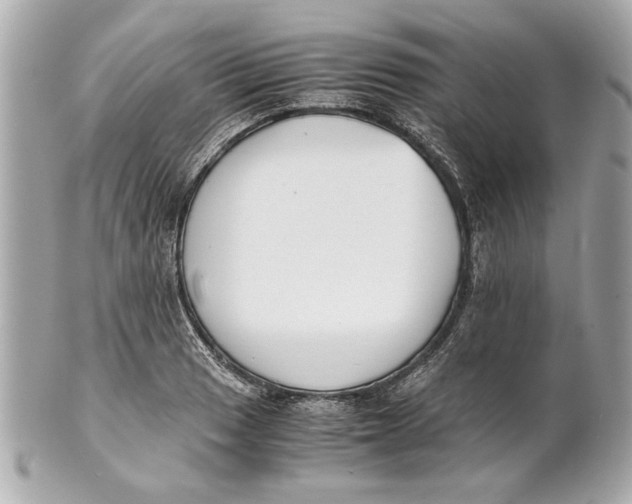 X0000101661033200807311430