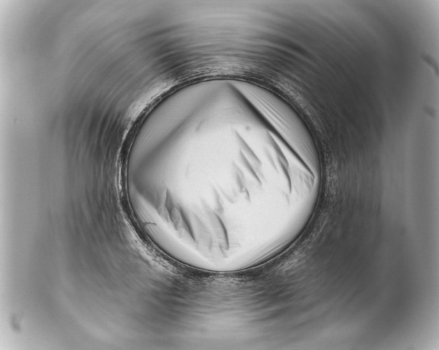 X0000101661034200807311430