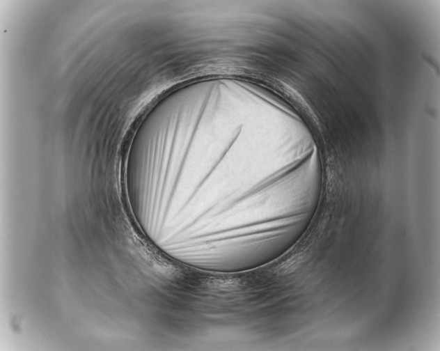 X0000101661035200807311430