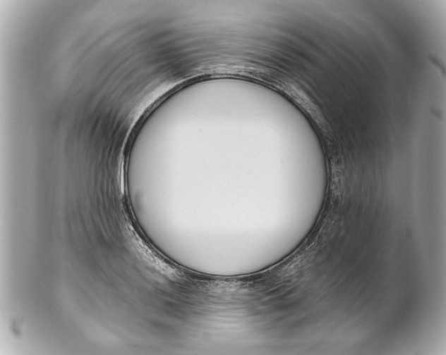 X0000101661036200807311430