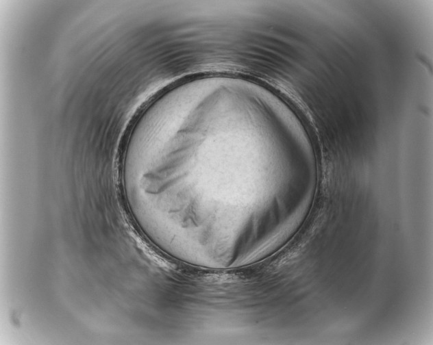 X0000101661037200807311430