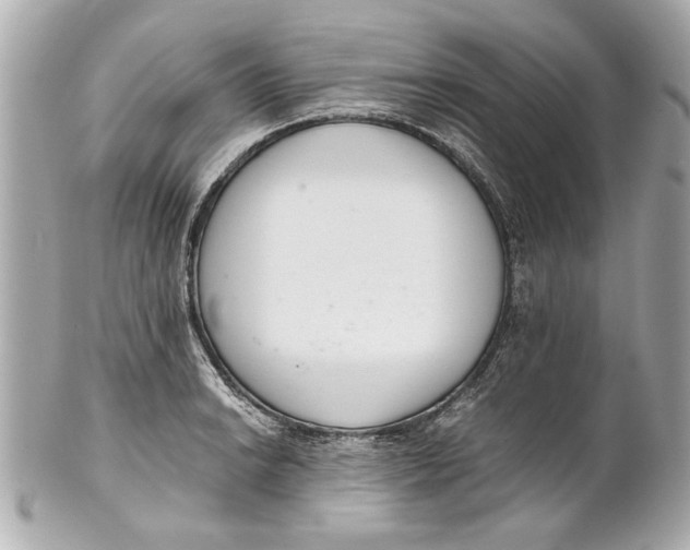 X0000101661038200807311430