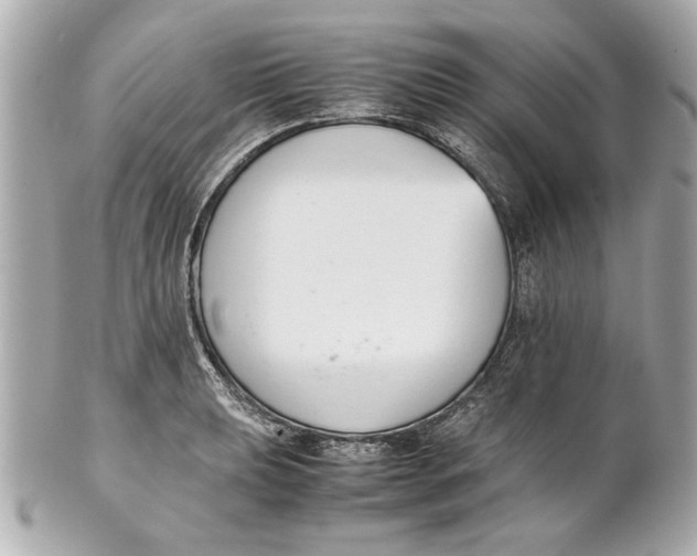 X0000101661039200807311430