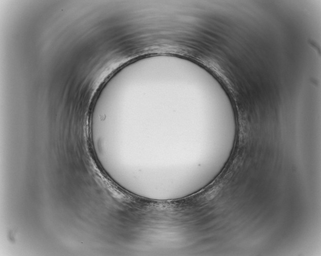 X0000101661040200807311430