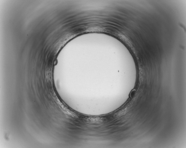 X0000101661041200807311430