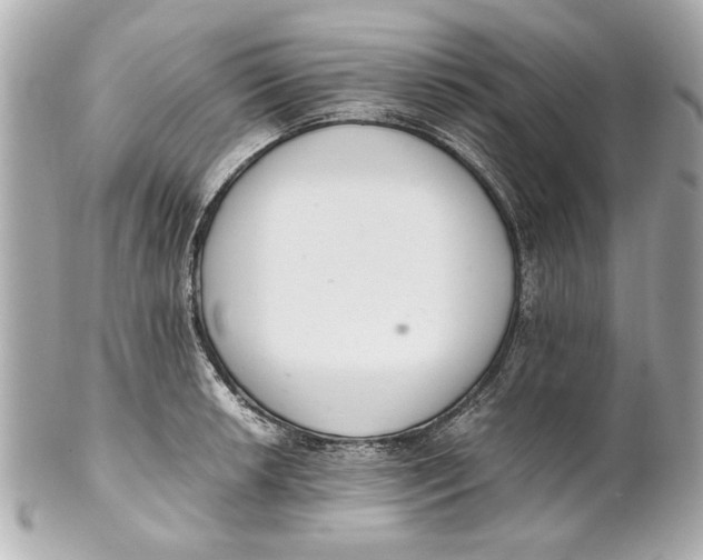 X0000101661042200807311430