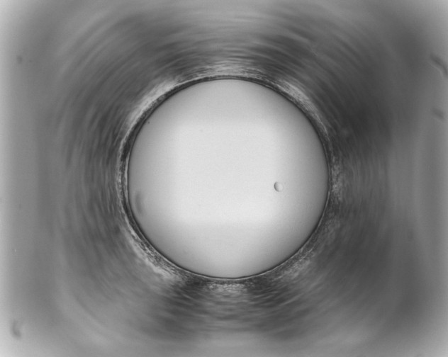 X0000101661043200807311430