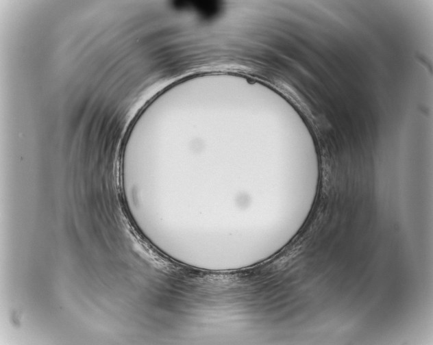 X0000101661044200807311430