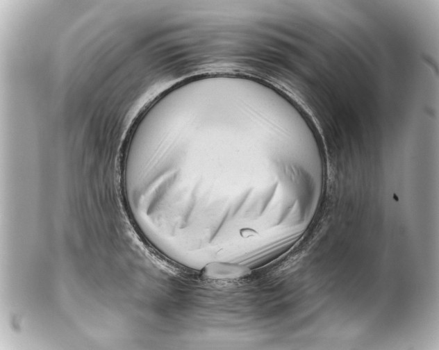 X0000101661045200807311430