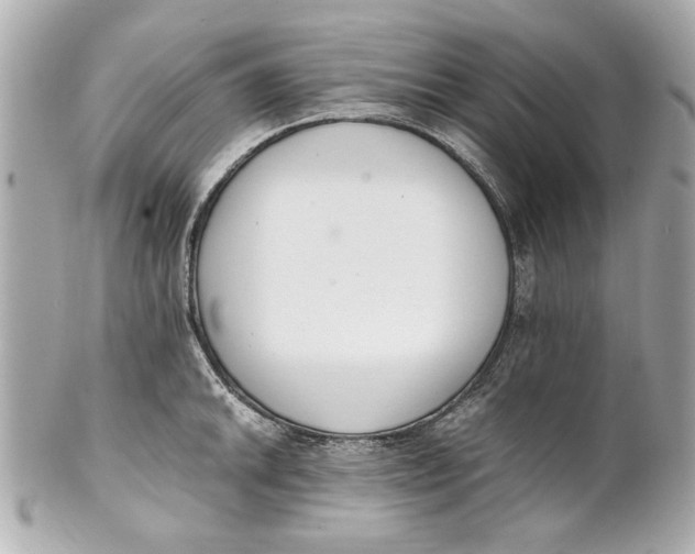 X0000101661046200807311430