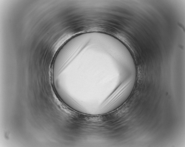 X0000101661047200807311430