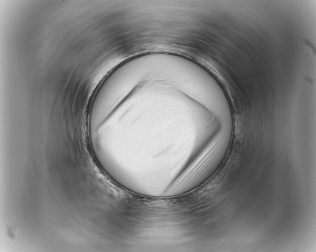 X0000101661048200807311430