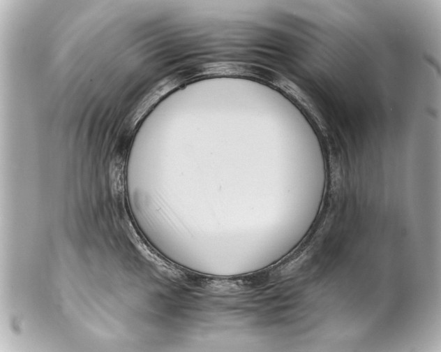 X0000101661049200807311431