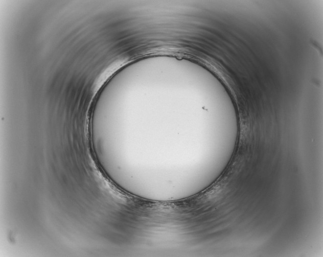 X0000101661050200807311431