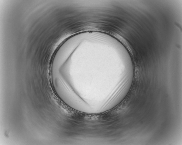 X0000101661051200807311431